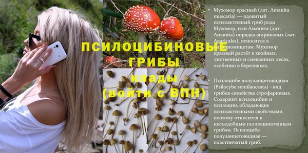 хмурый Баксан