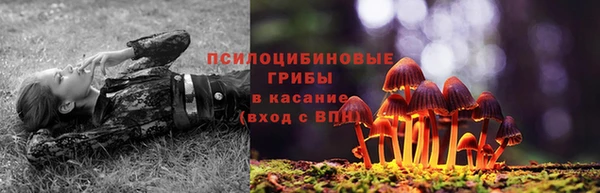 Альфа ПВП Балабаново