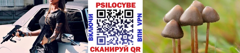 Псилоцибиновые грибы Psilocybe  гидра как войти  Ликино-Дулёво 